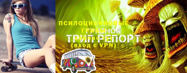 гашик Алзамай