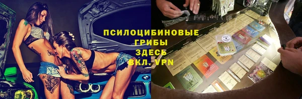 гашик Алзамай