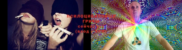 прущие грибы Алексин