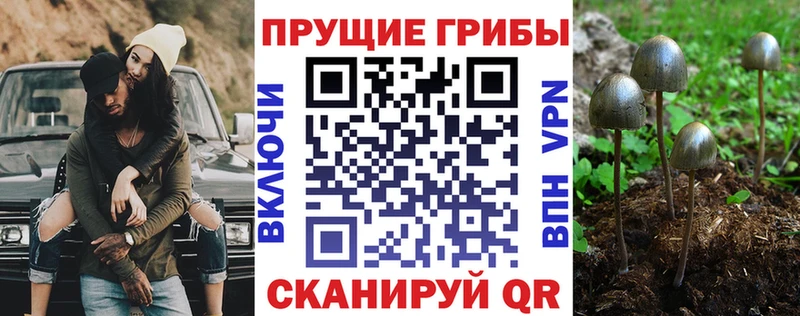 Псилоцибиновые грибы MAGIC MUSHROOMS  купить закладку  Чердынь 