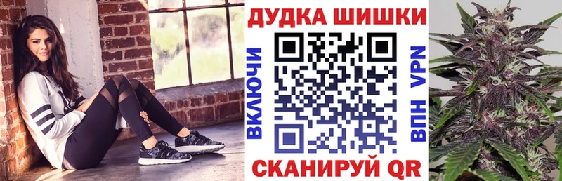 Конопля SATIVA & INDICA как найти Чердынь